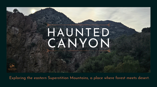 Hiking Haunted Canyon in the Eastern Superstitions: Where Desert Meets Forest