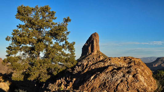 Lone Tree appearing next to Weaver's Needle near the Peralta Trail in the Superstition Mountains